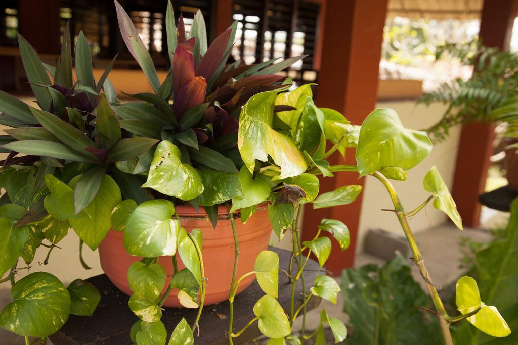 Windy Hill Resort San Ignacio Luaran gambar