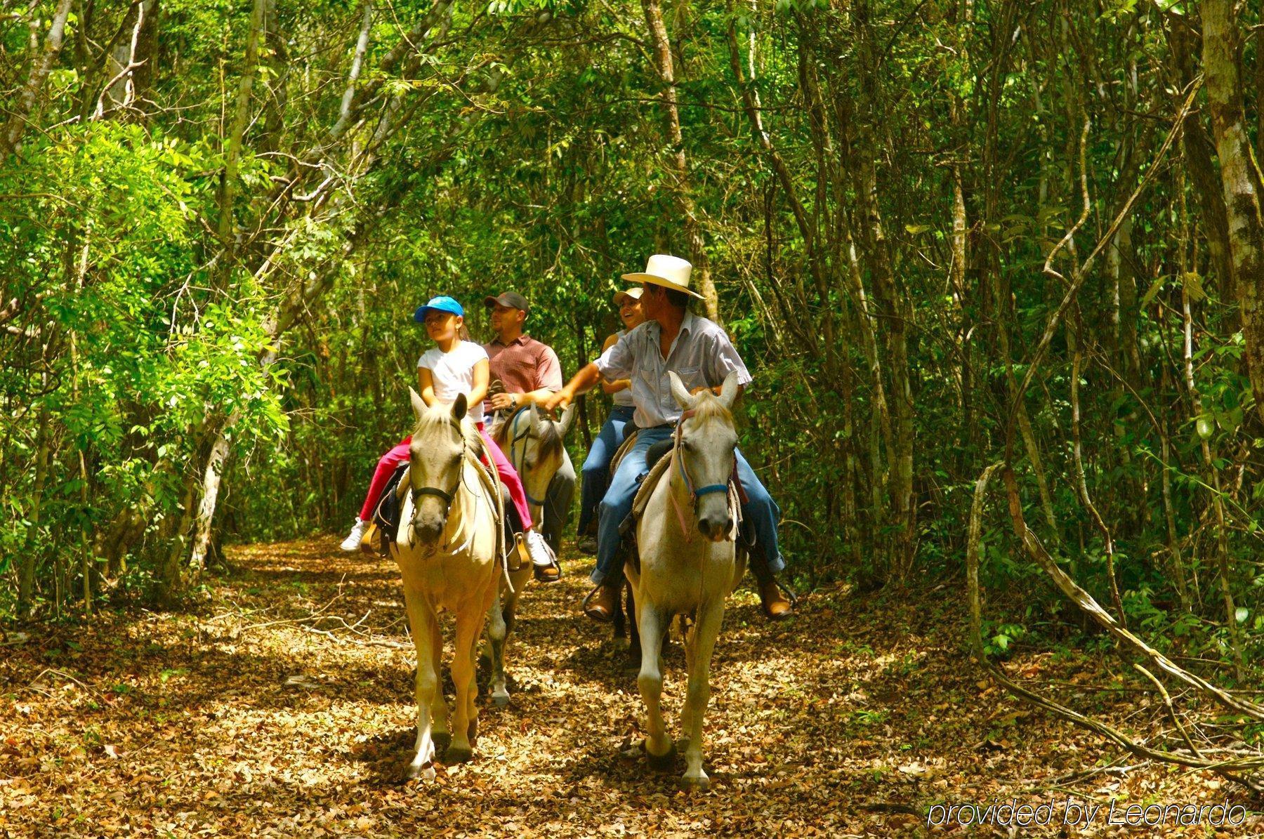 Windy Hill Resort San Ignacio Luaran gambar